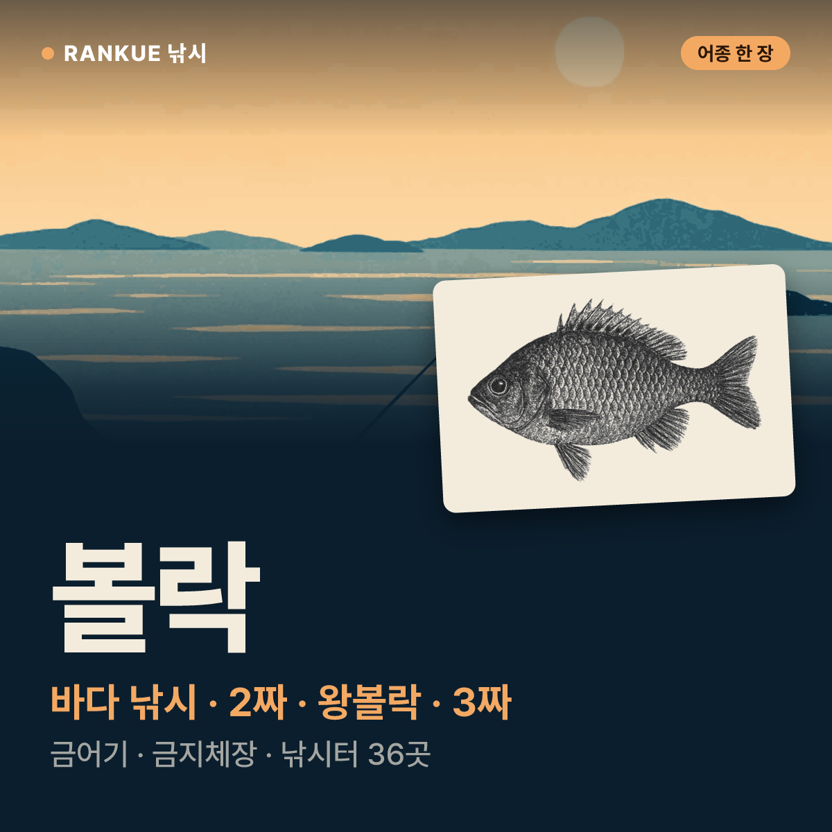 볼락 어탁 — 바다 낚시