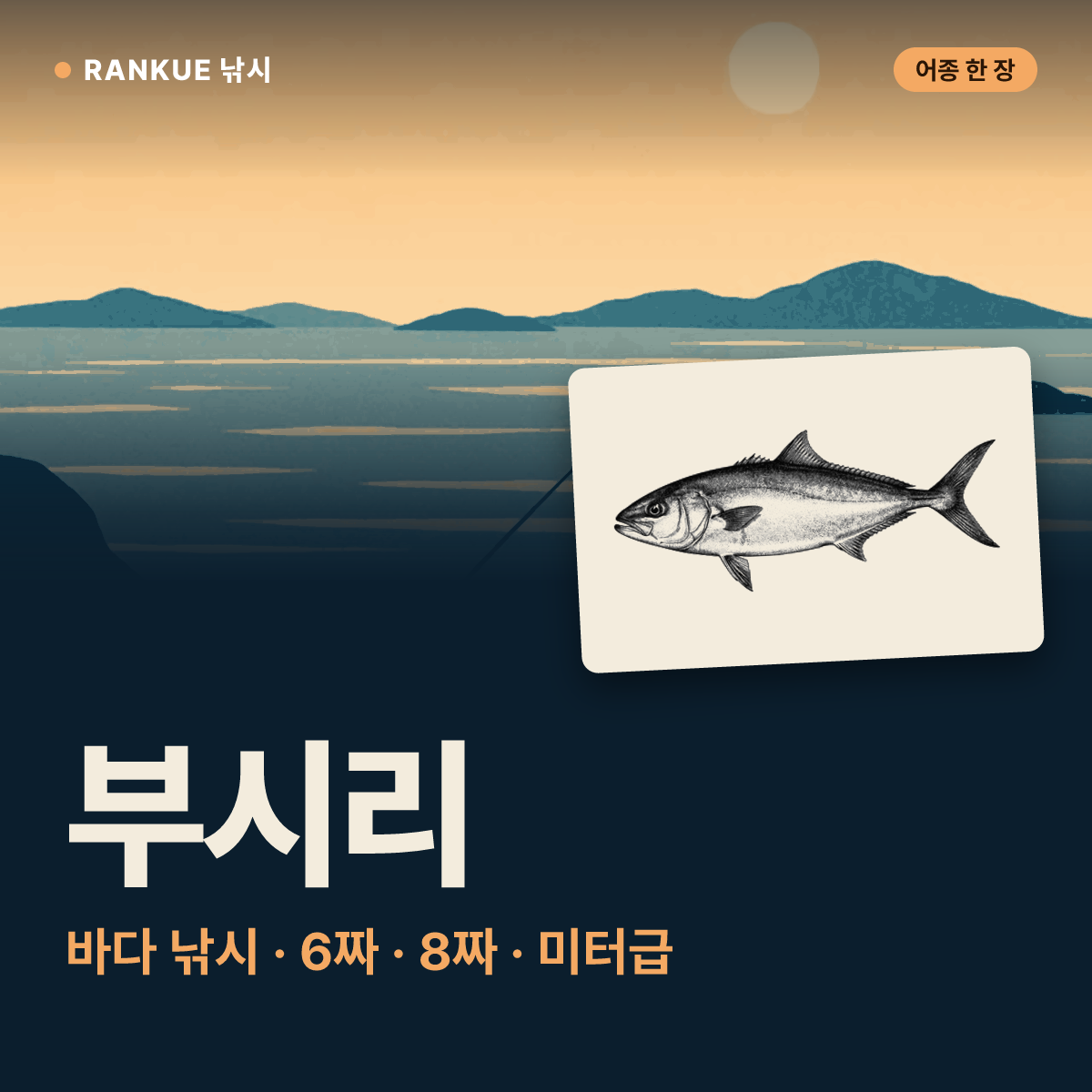 부시리 어탁 — 바다 낚시