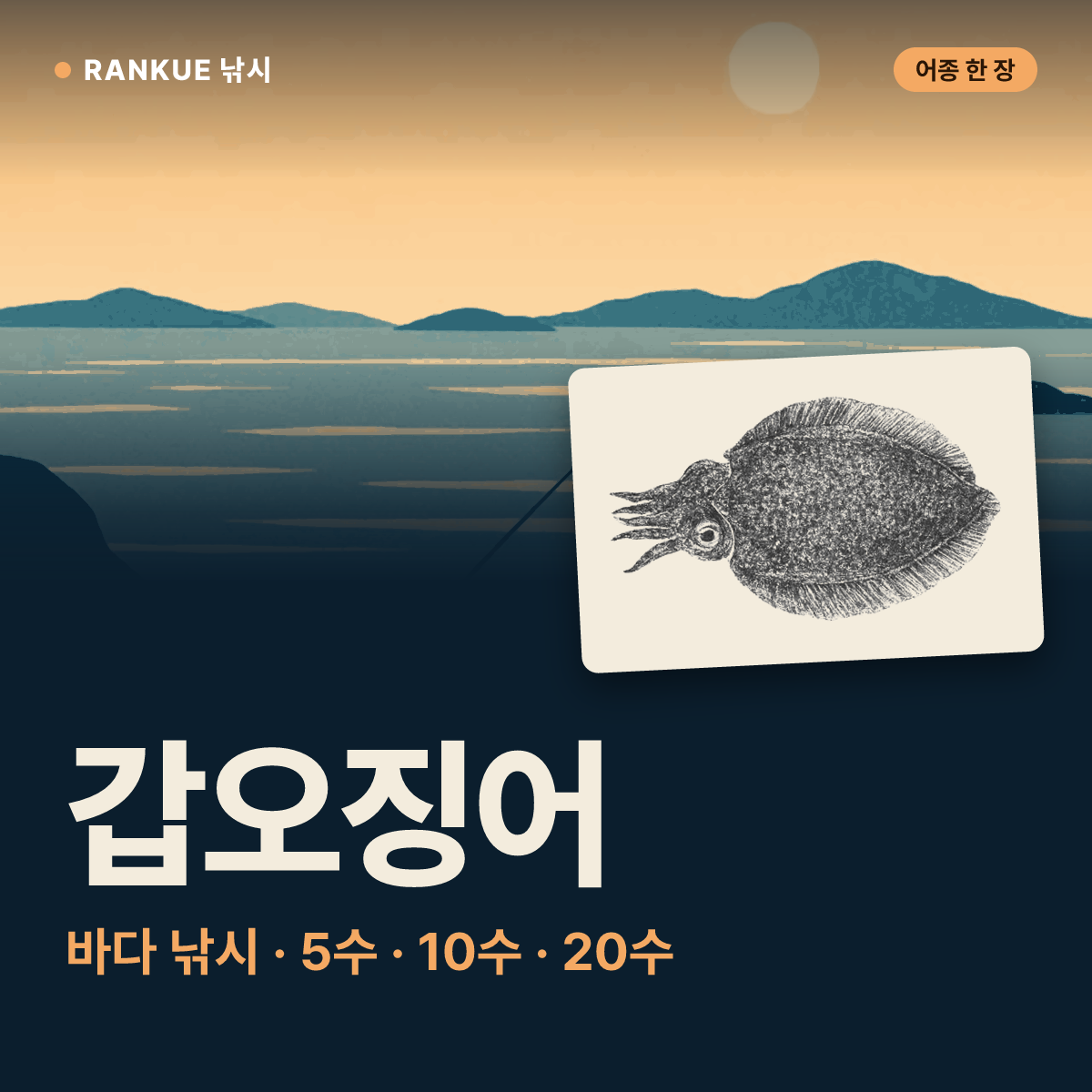 갑오징어 어탁 — 바다 낚시