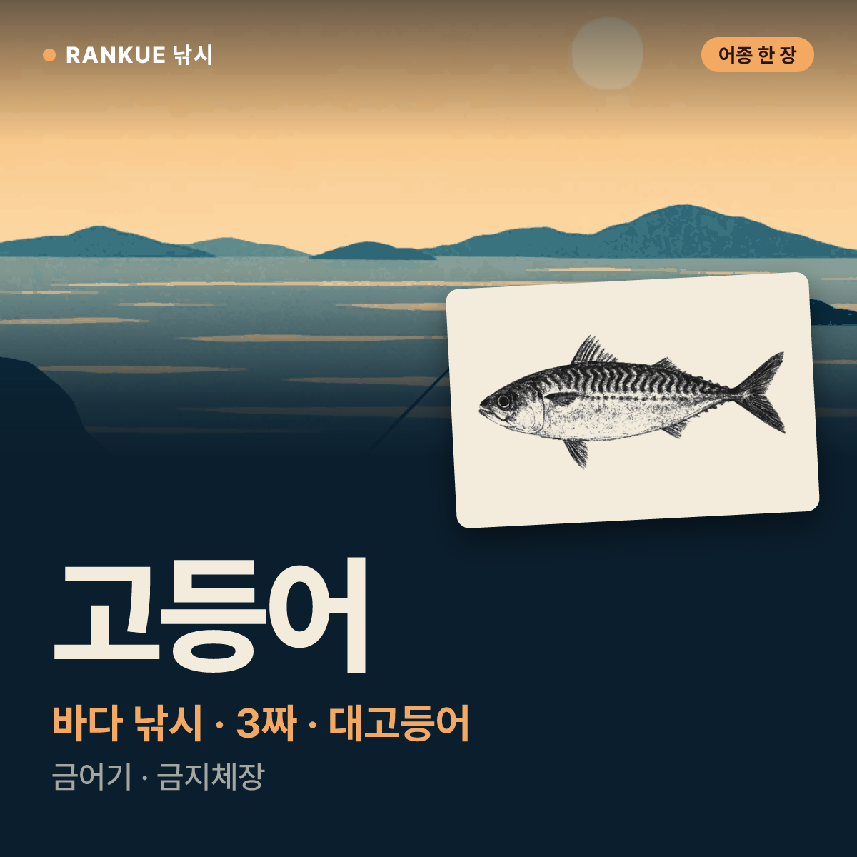 고등어 어탁 — 바다 낚시