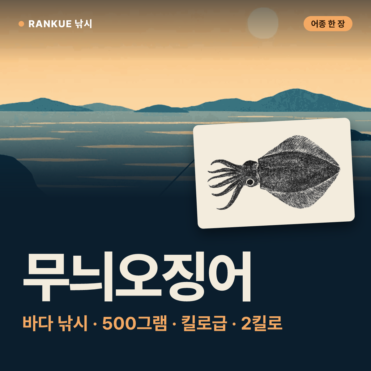 무늬오징어 어탁 — 바다 낚시