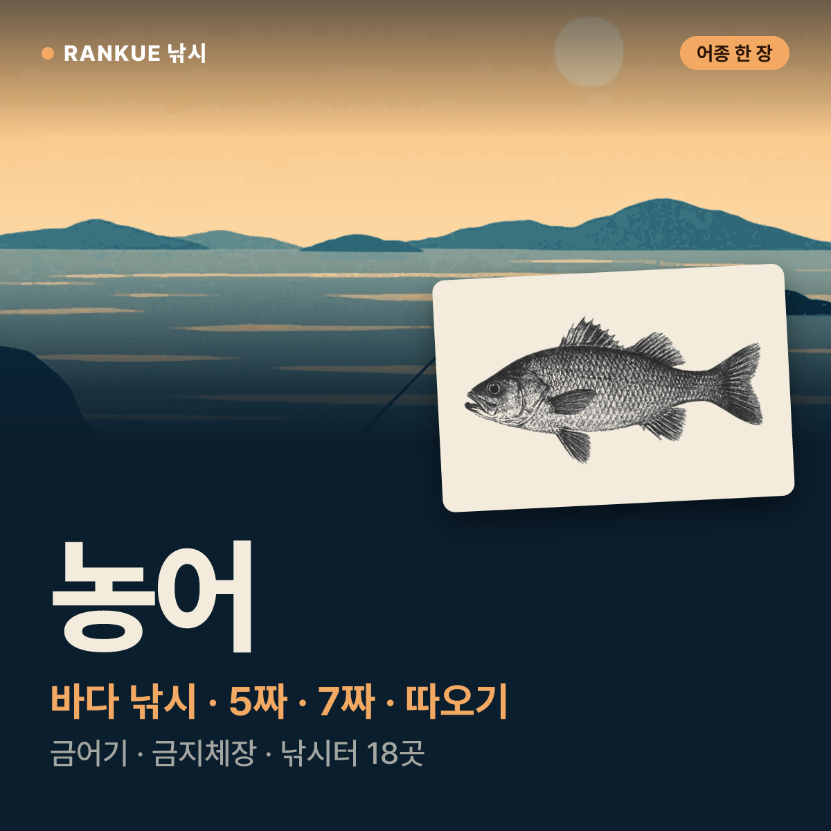 농어 어탁 — 바다 낚시