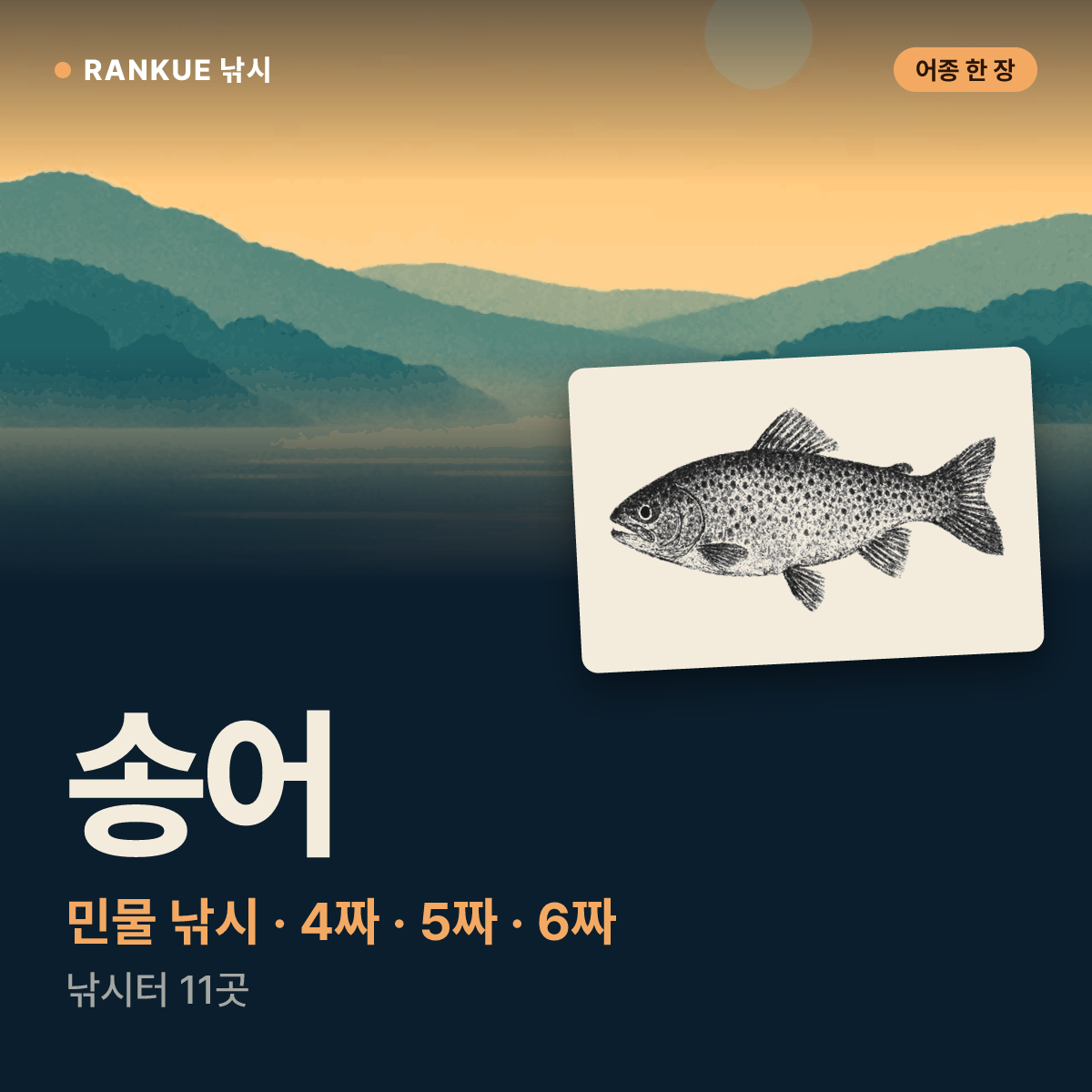 송어 어탁 — 민물 낚시