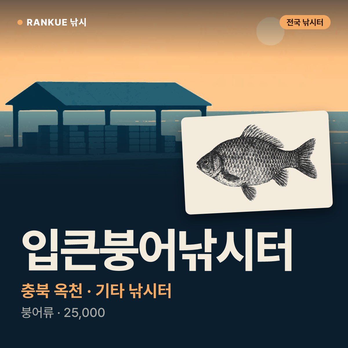 입큰붕어낚시터 — 충북 옥천 기타 낚시터