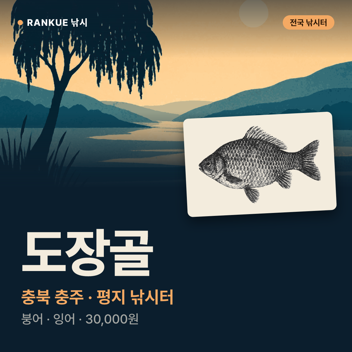 도장골 — 충북 충주 평지 낚시터