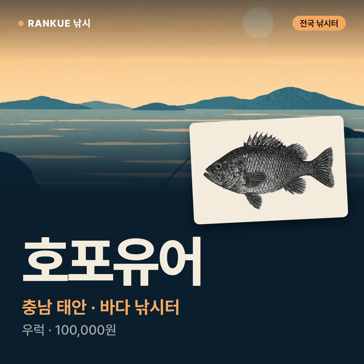 호포유어 — 충남 태안 바다 낚시터
