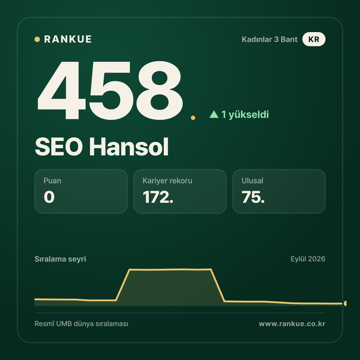 SEO Hansol — 458.