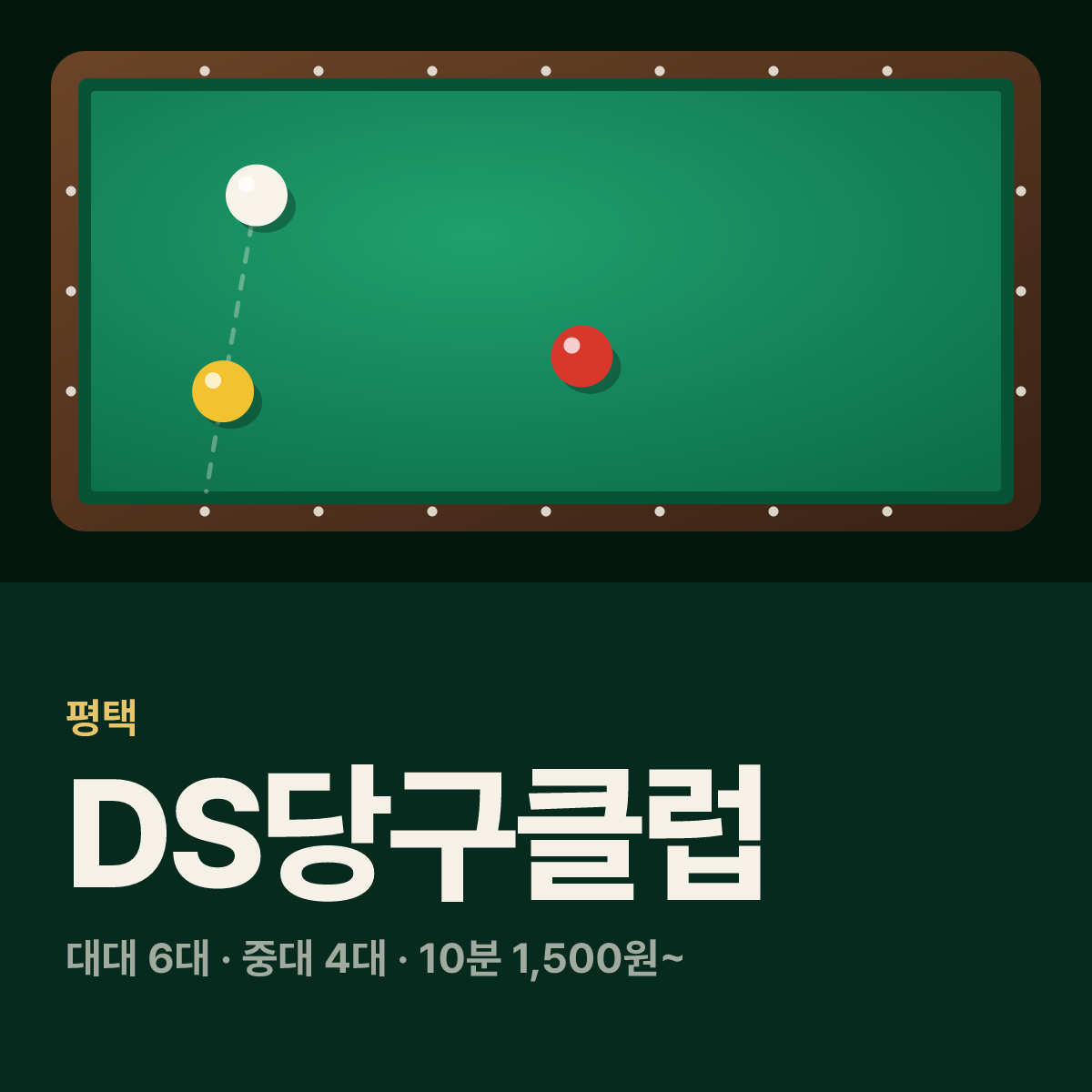 DS당구클럽 당구장 카드