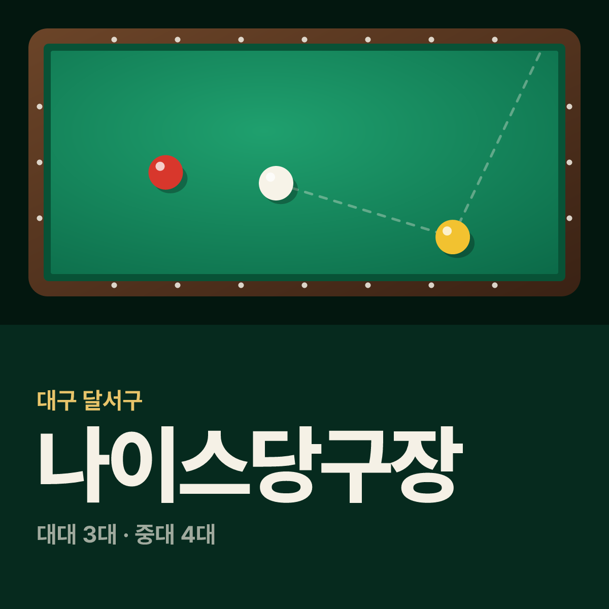 나이스당구장 카드
