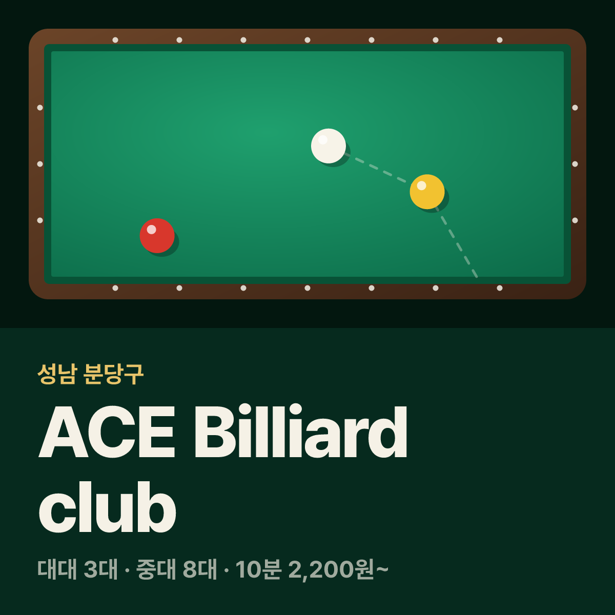 ACE Billiard club 당구장 카드