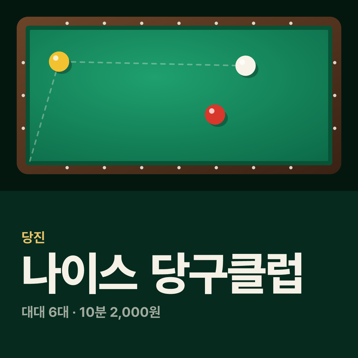 나이스 당구클럽 당구장 카드