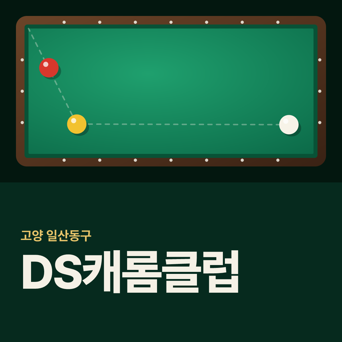DS캐롬클럽 당구장 카드