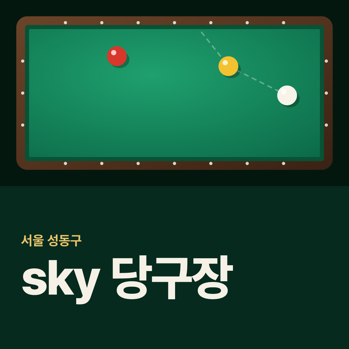 sky 당구장 카드