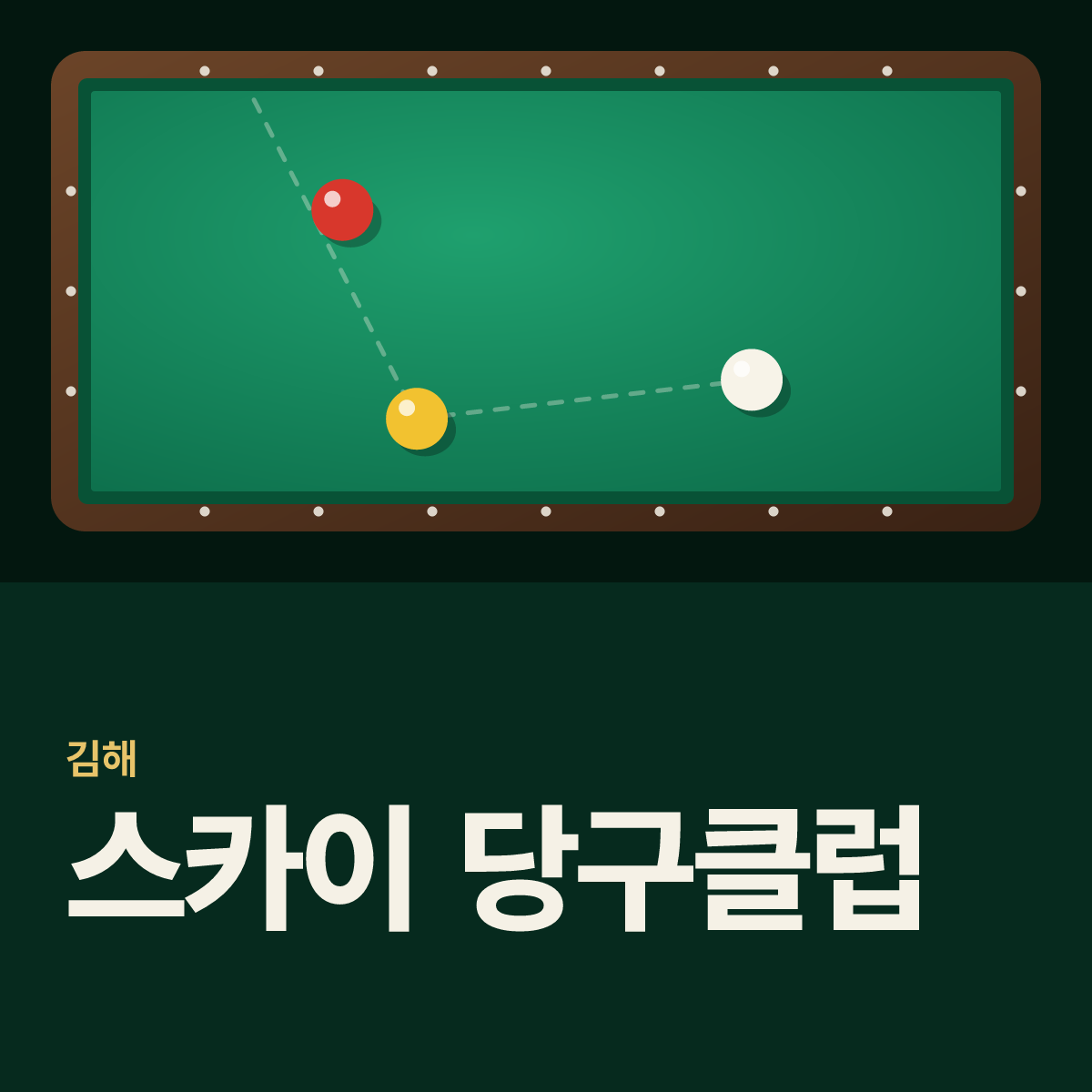 스카이 당구클럽 당구장 카드