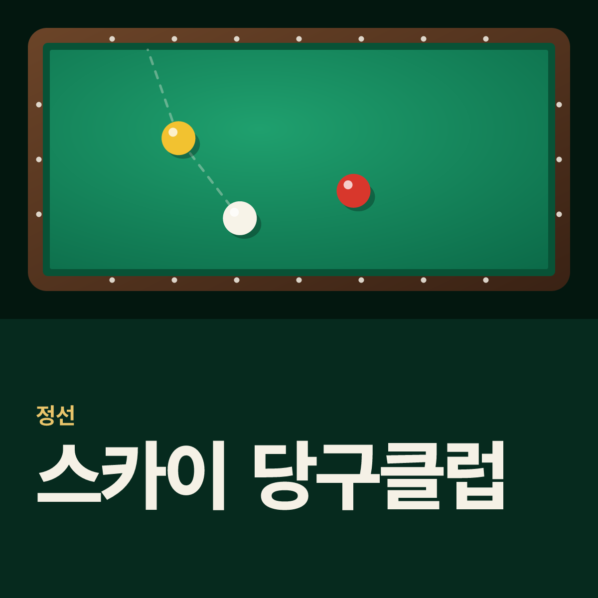 스카이 당구클럽 당구장 카드
