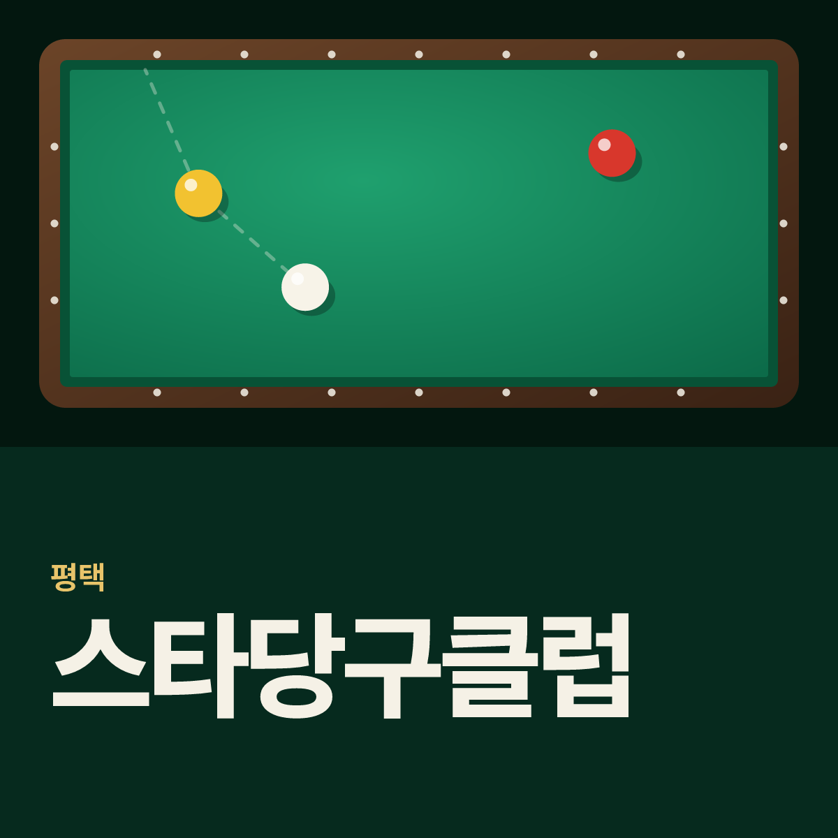 스타당구클럽 당구장 카드
