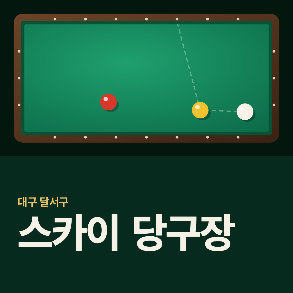 스카이 당구장 카드