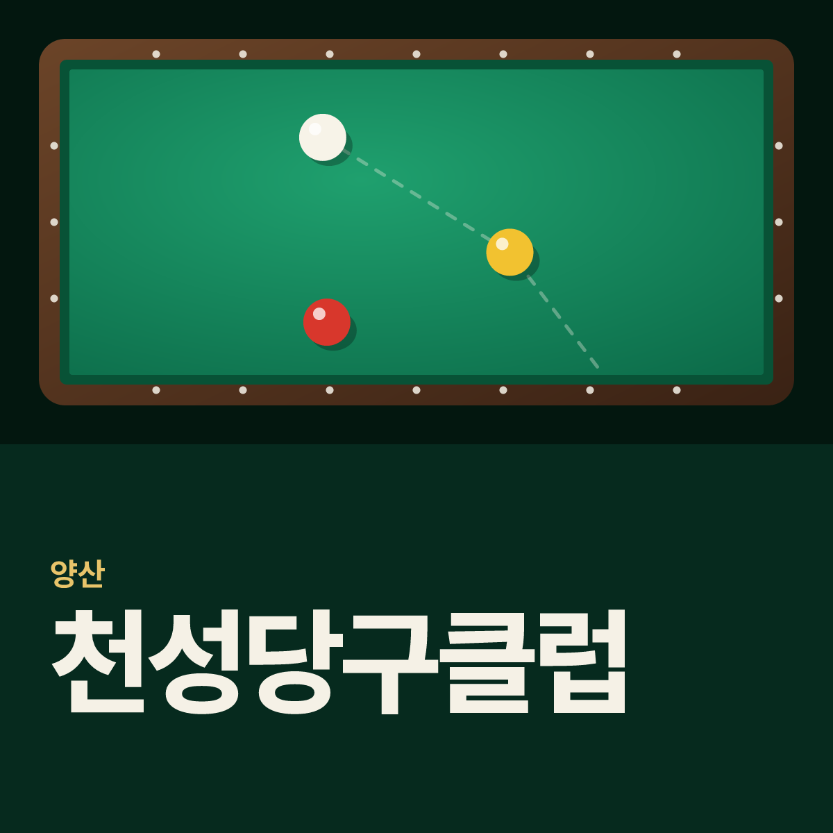 천성당구클럽 당구장 카드