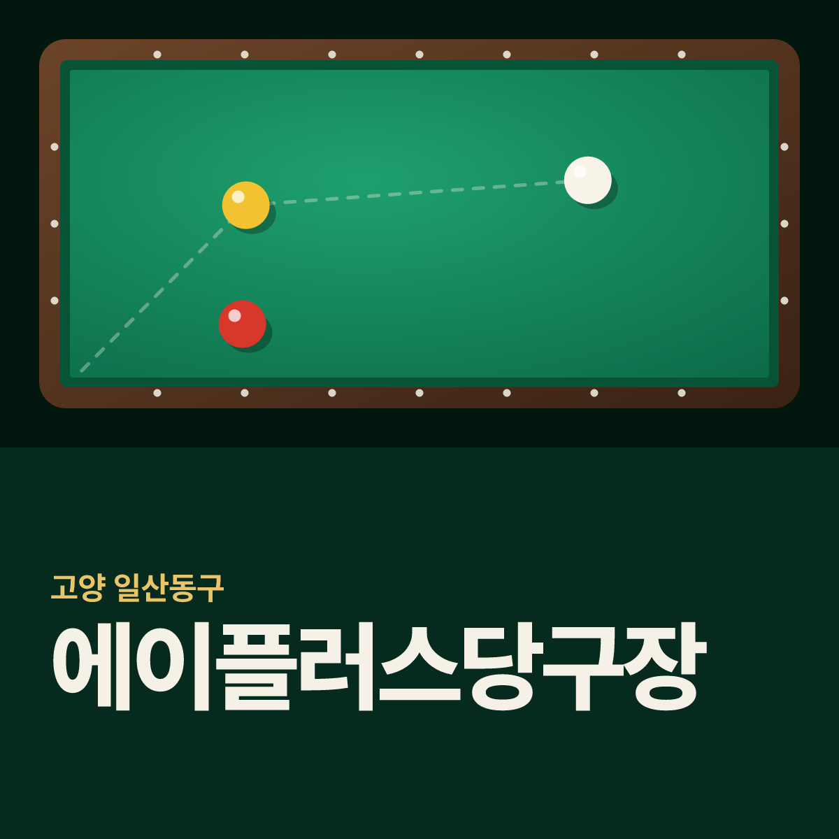 에이플러스당구장 카드