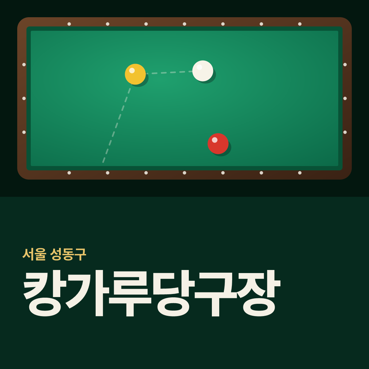 캉가루당구장 카드