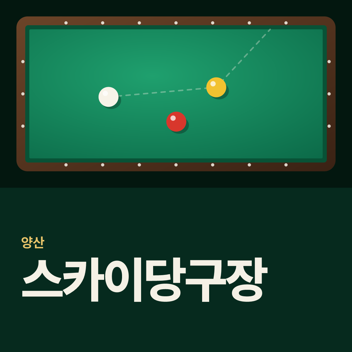 스카이당구장 카드