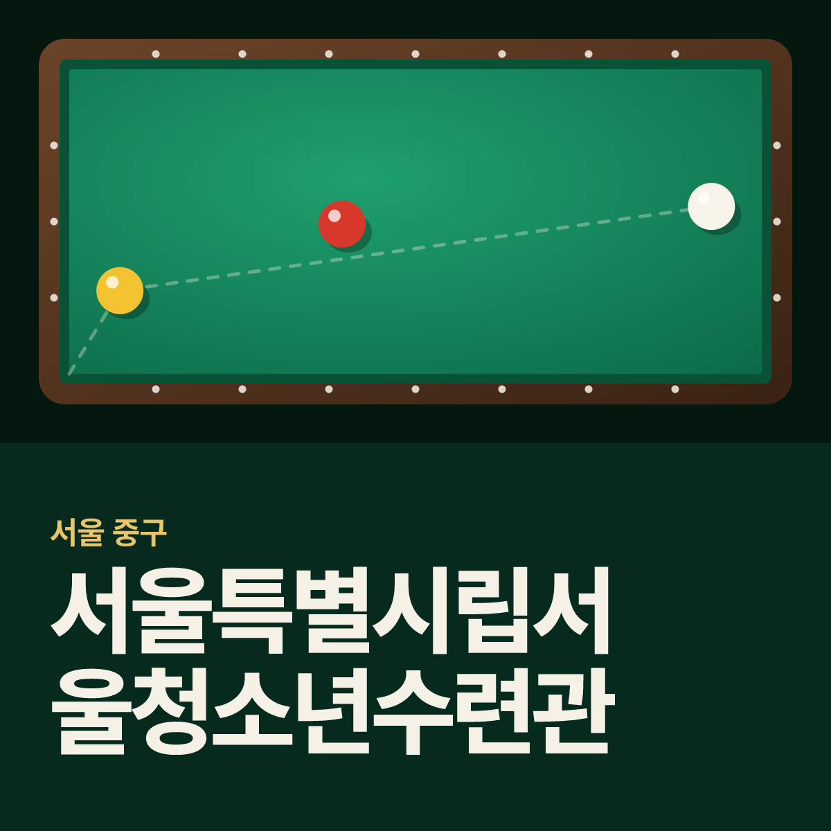 서울특별시립서울청소년수련관 당구장 카드
