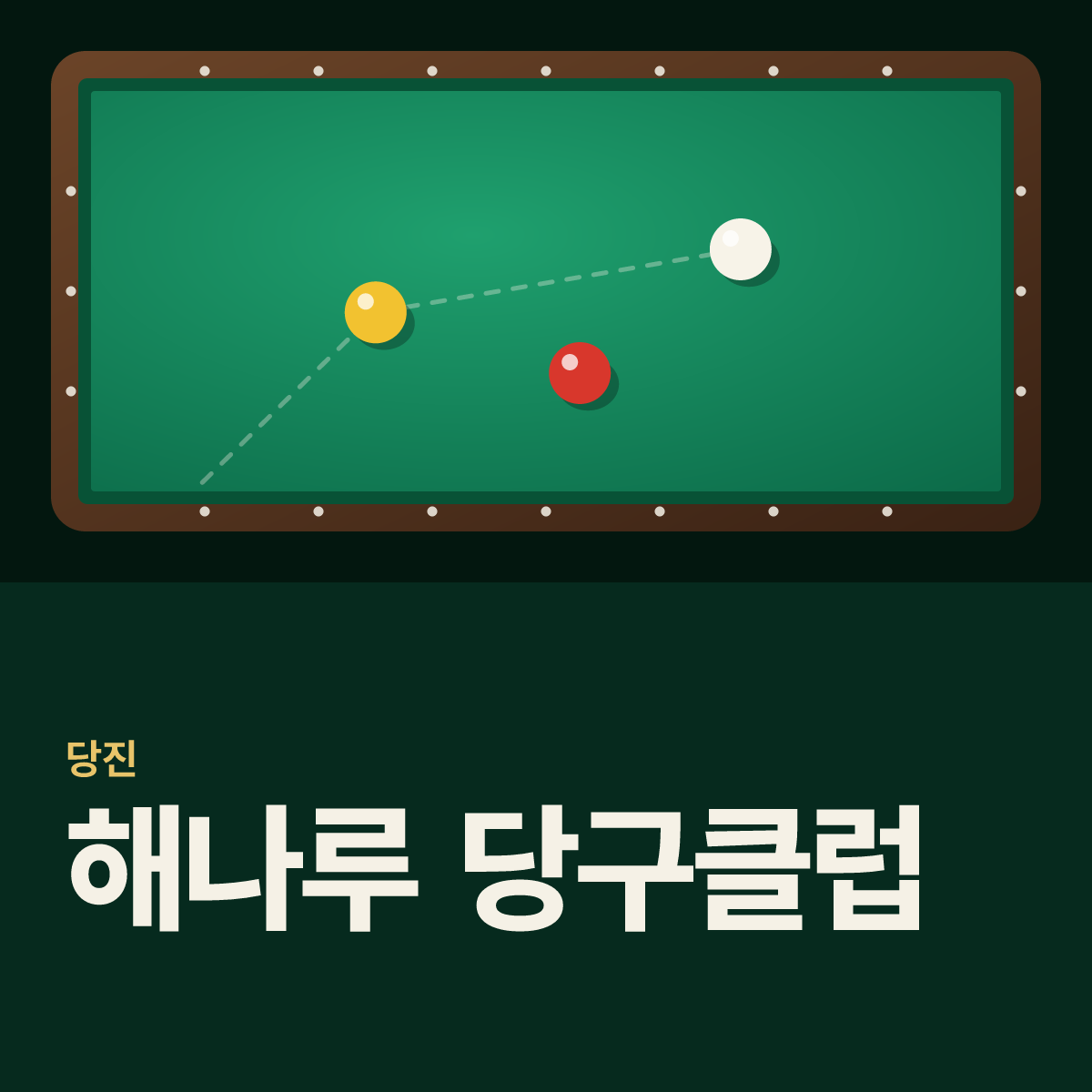해나루 당구클럽 당구장 카드