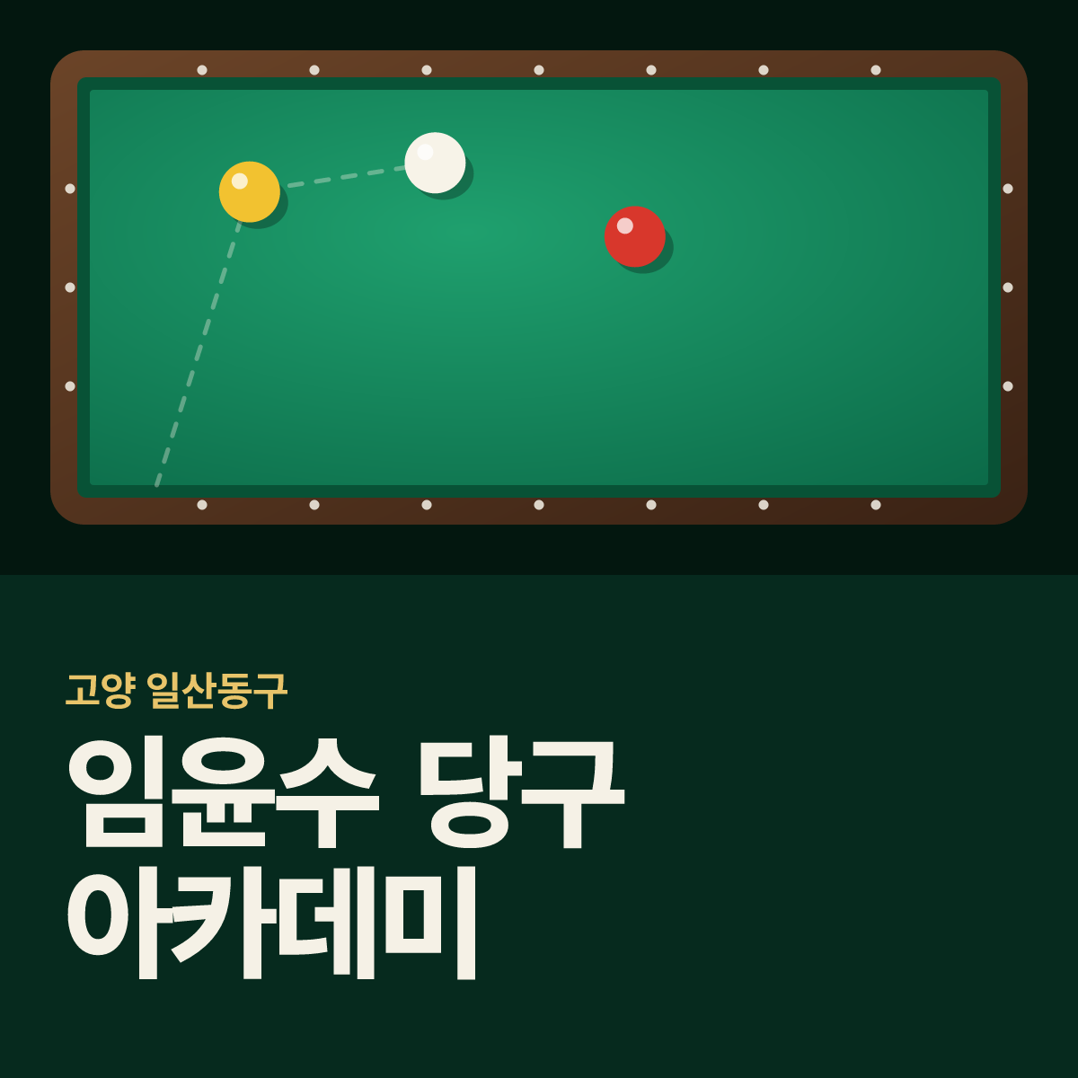 임윤수 당구 아카데미 당구장 카드