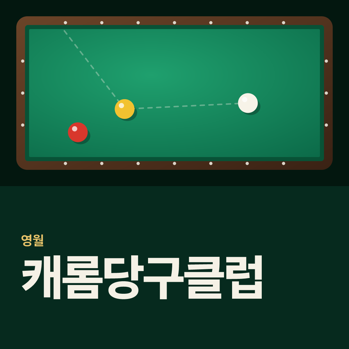 캐롬당구클럽 당구장 카드