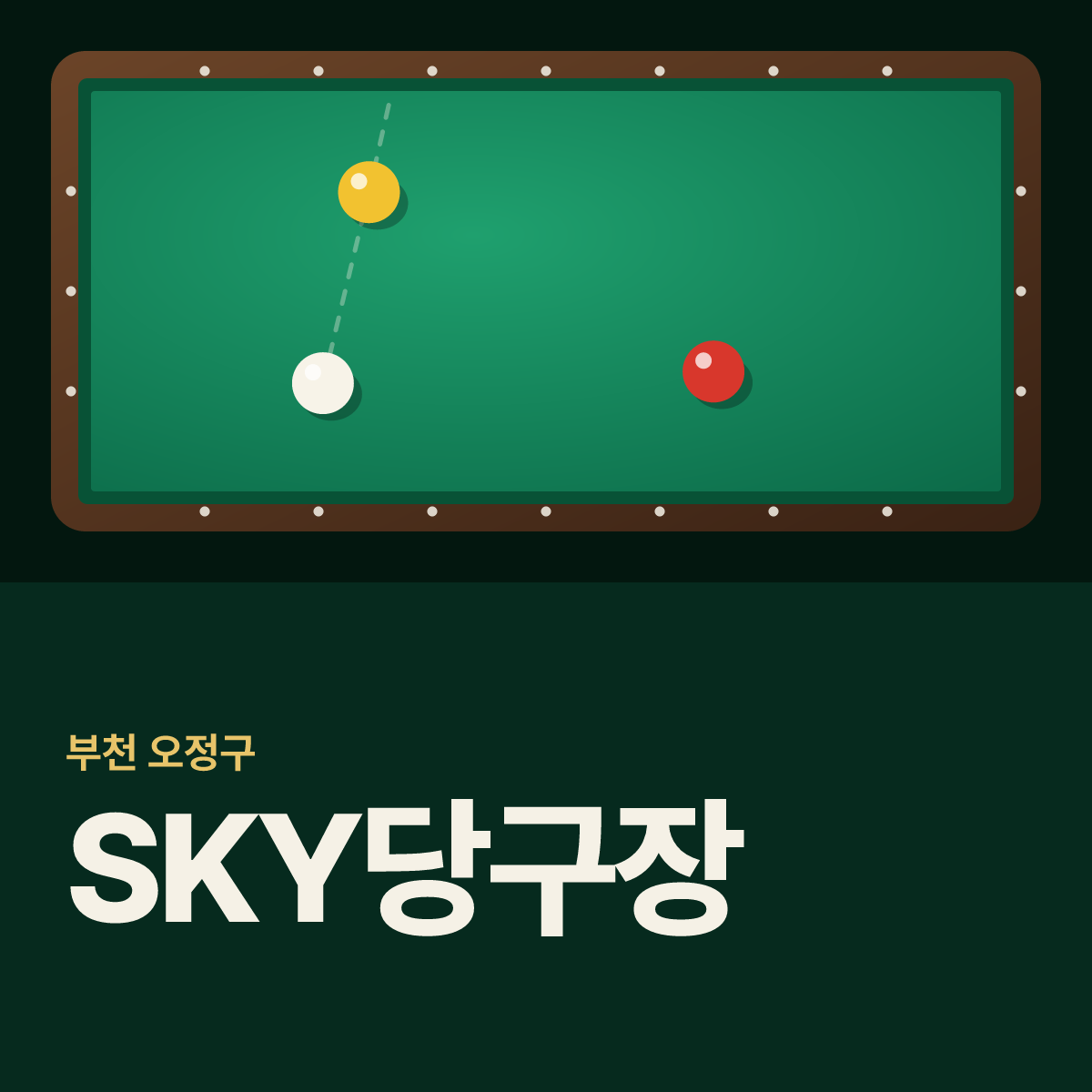 SKY당구장 카드