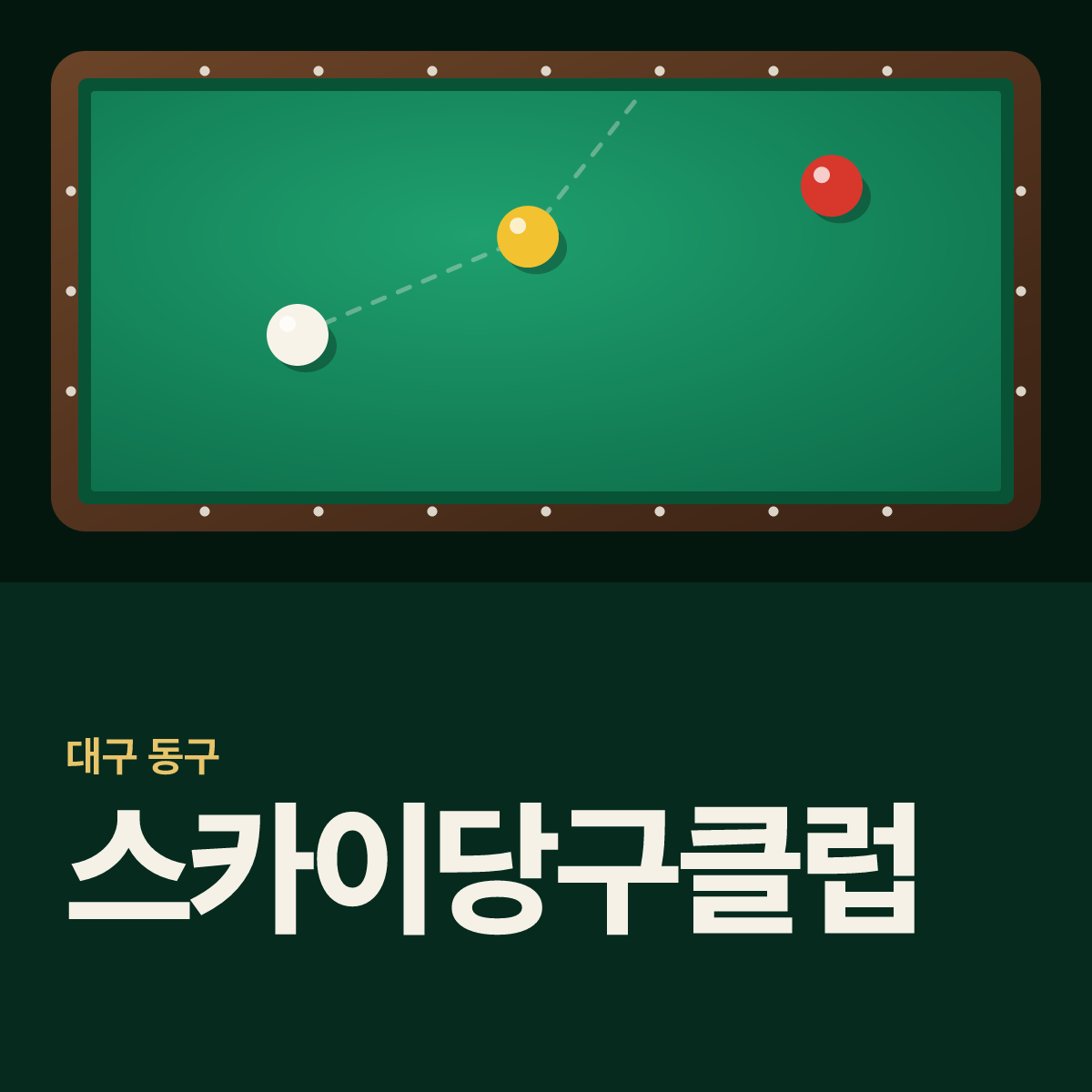 스카이당구클럽 당구장 카드
