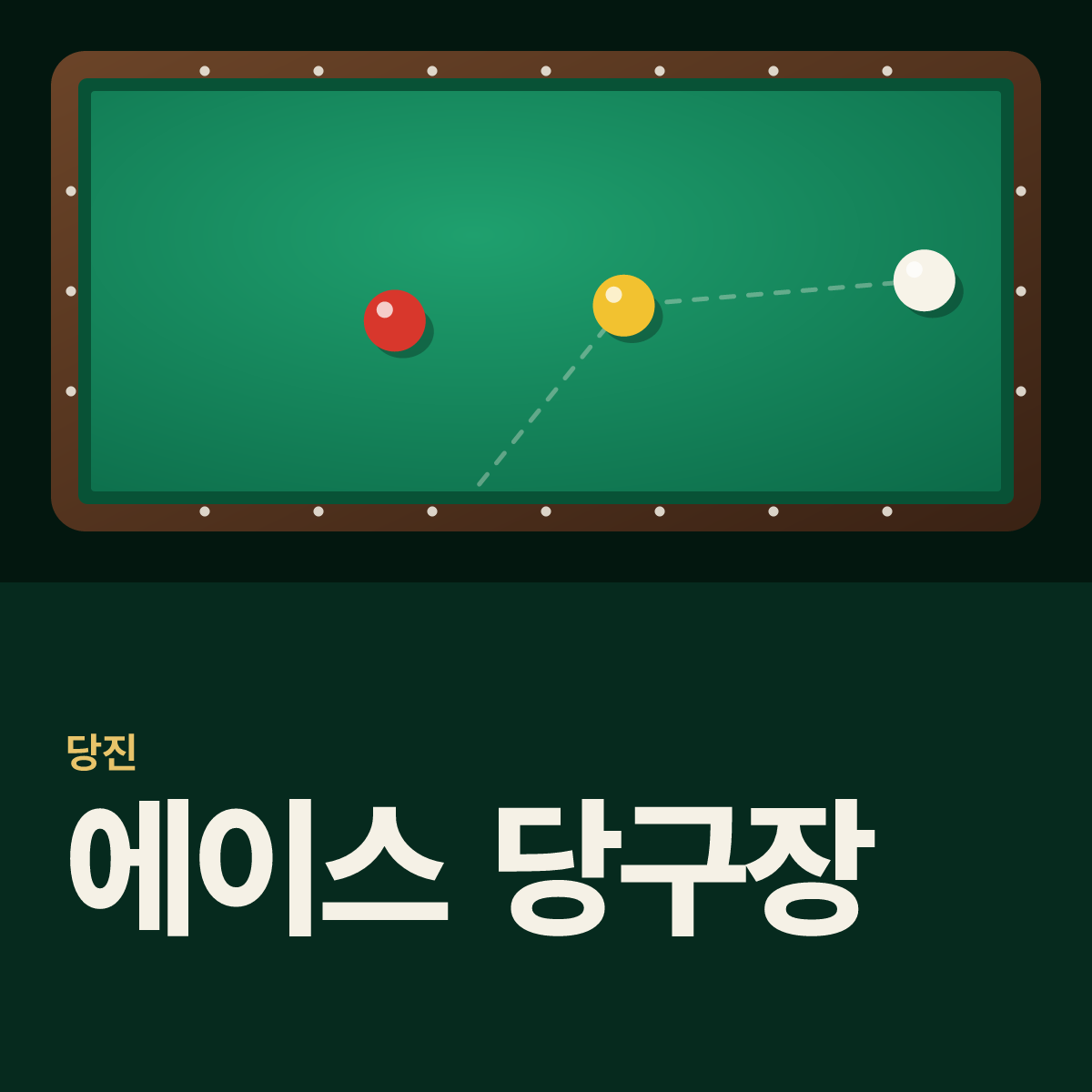 에이스 당구장 카드
