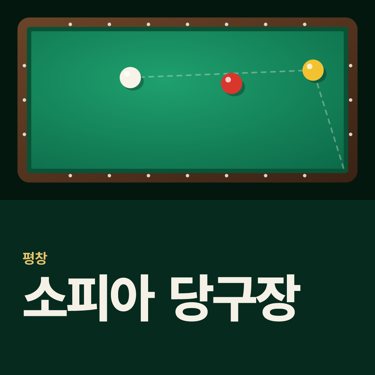 소피아 당구장 카드