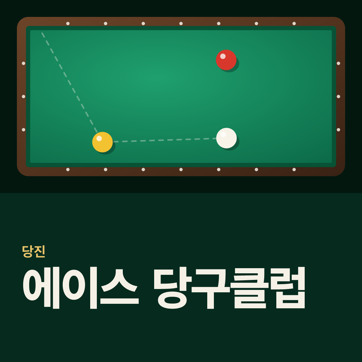 에이스 당구클럽 당구장 카드