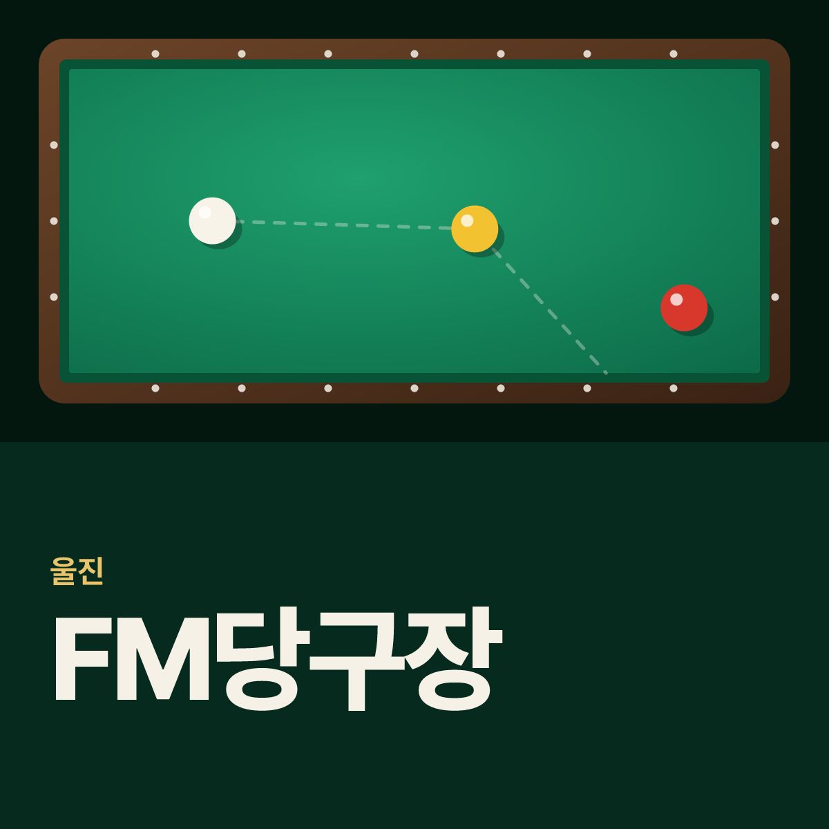 FM당구장 카드