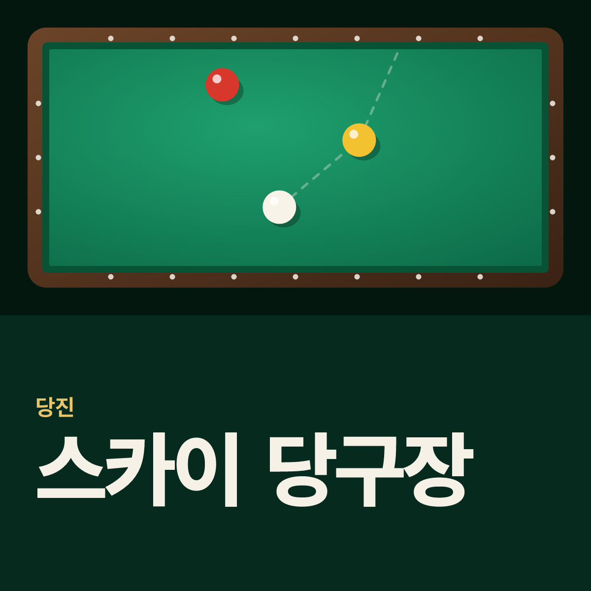 스카이 당구장 카드
