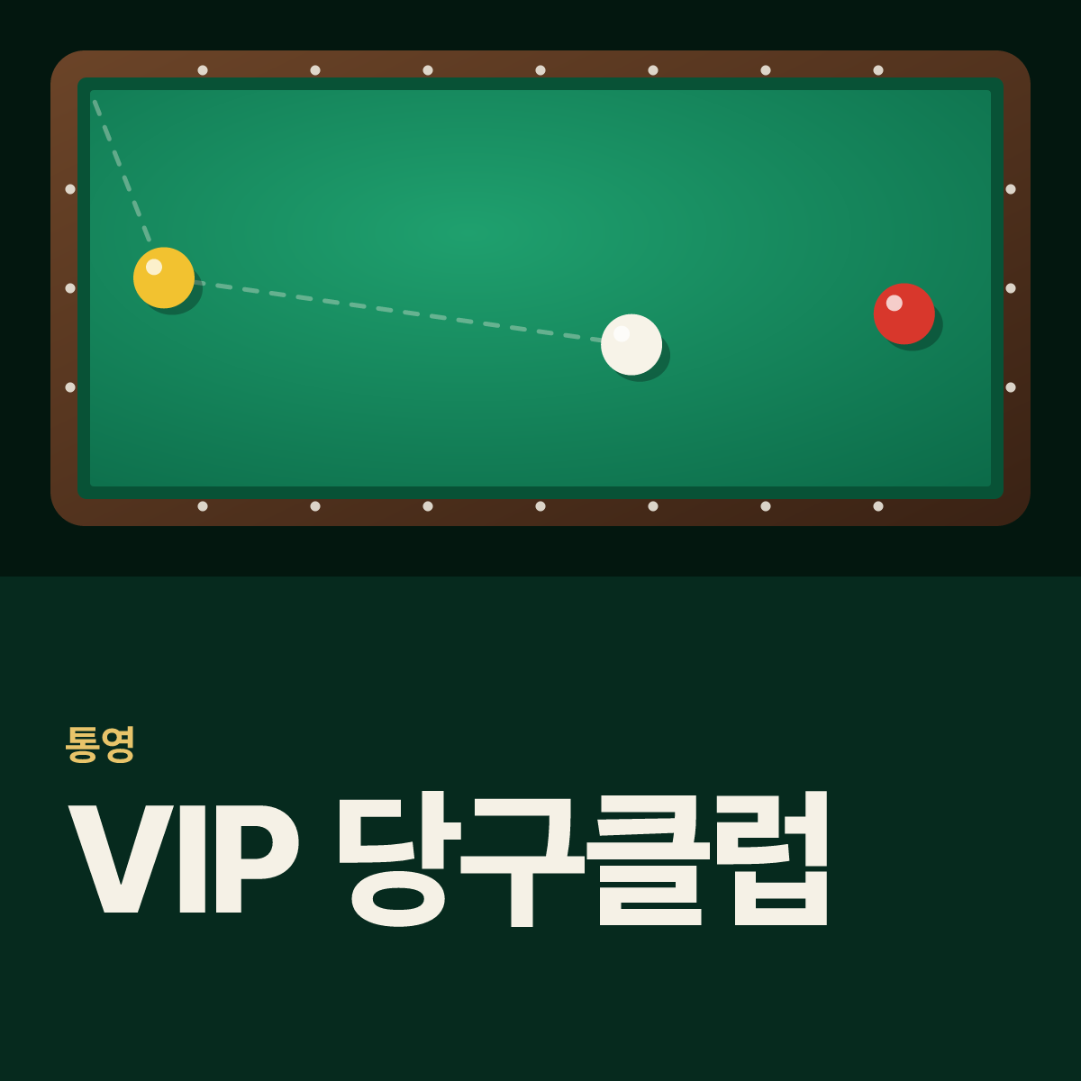 VIP 당구클럽 당구장 카드