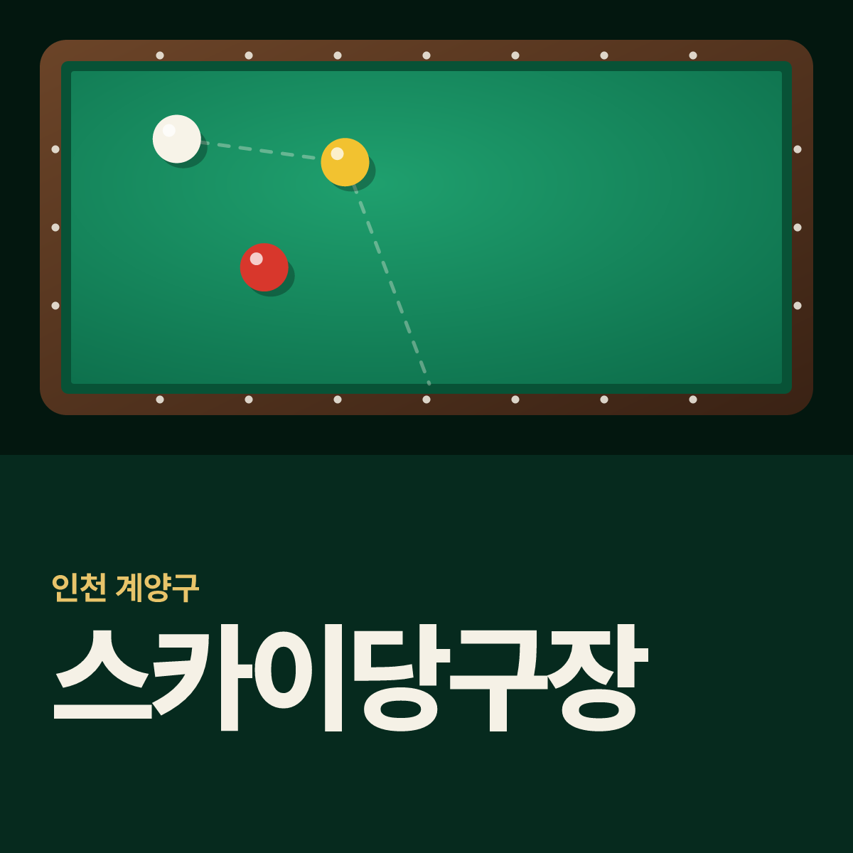 스카이당구장 카드