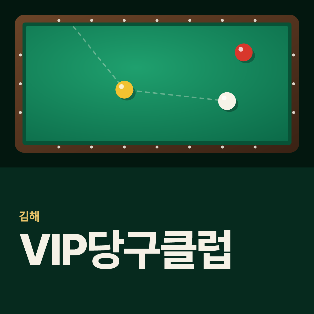 VIP당구클럽 당구장 카드