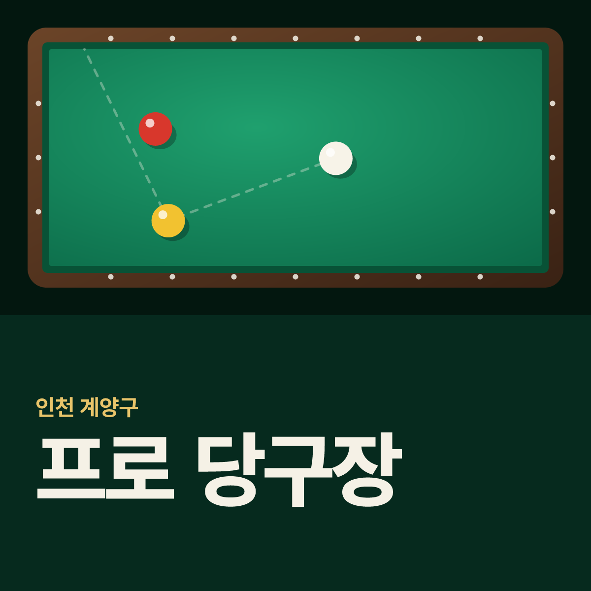 프로 당구장 카드