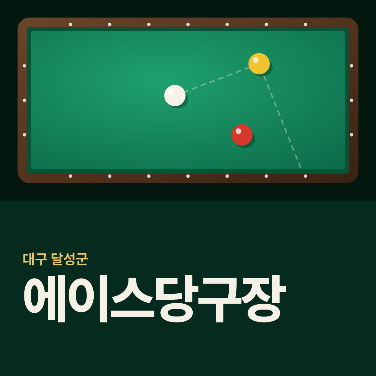 에이스당구장 카드