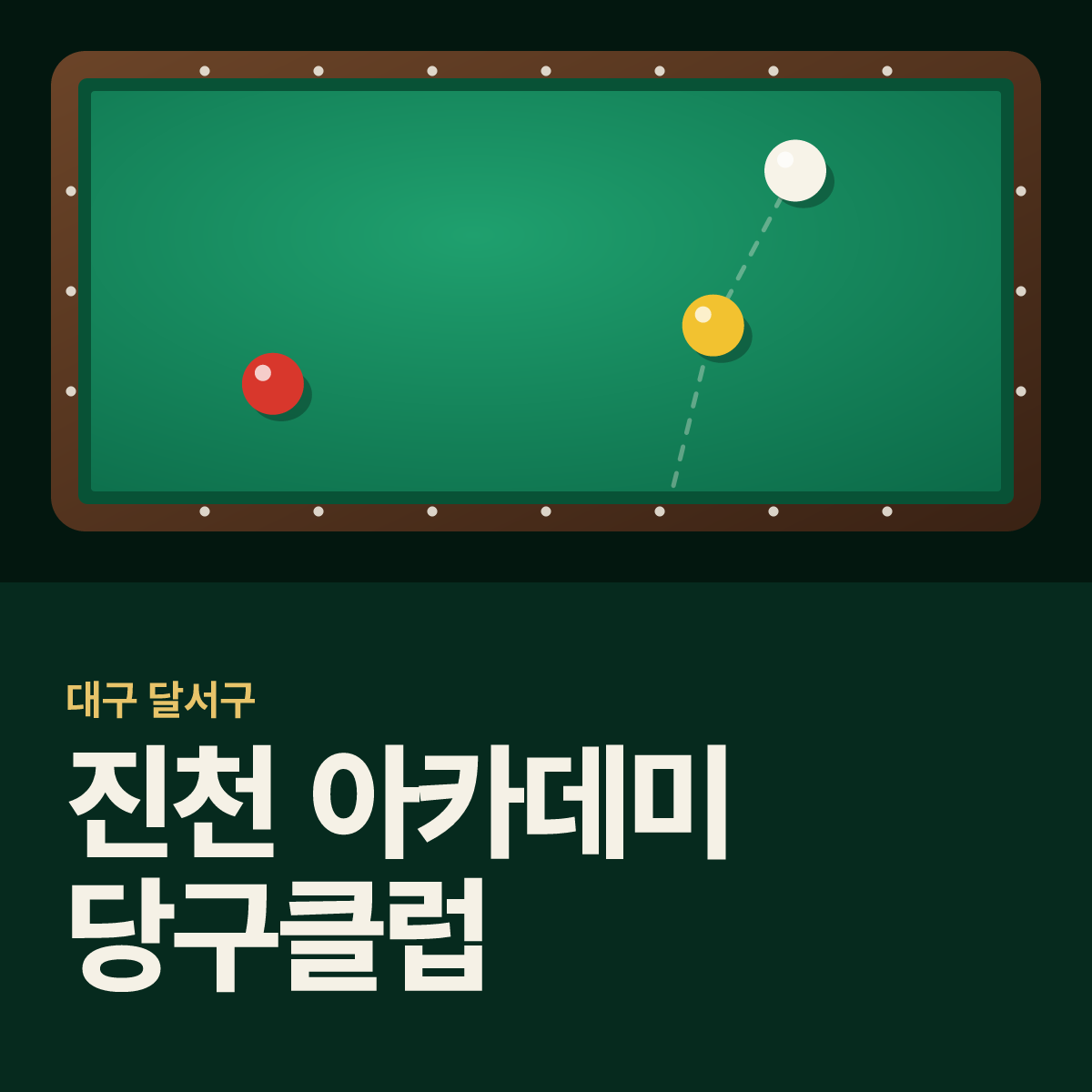 진천 아카데미 당구클럽 당구장 카드