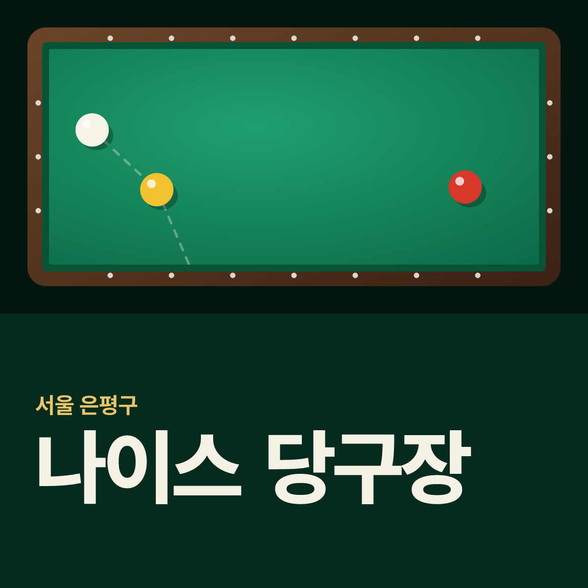 나이스 당구장 카드
