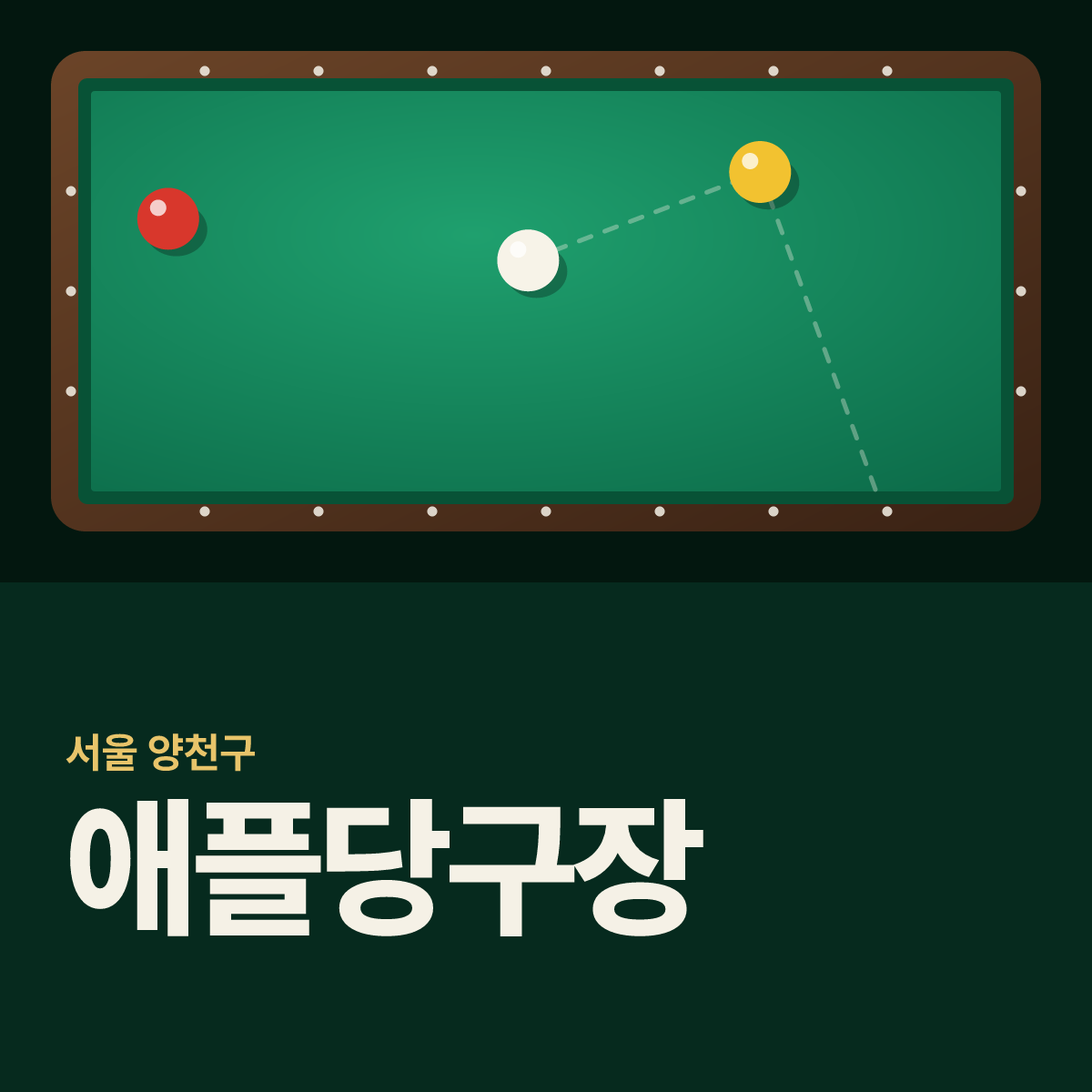 애플당구장 카드