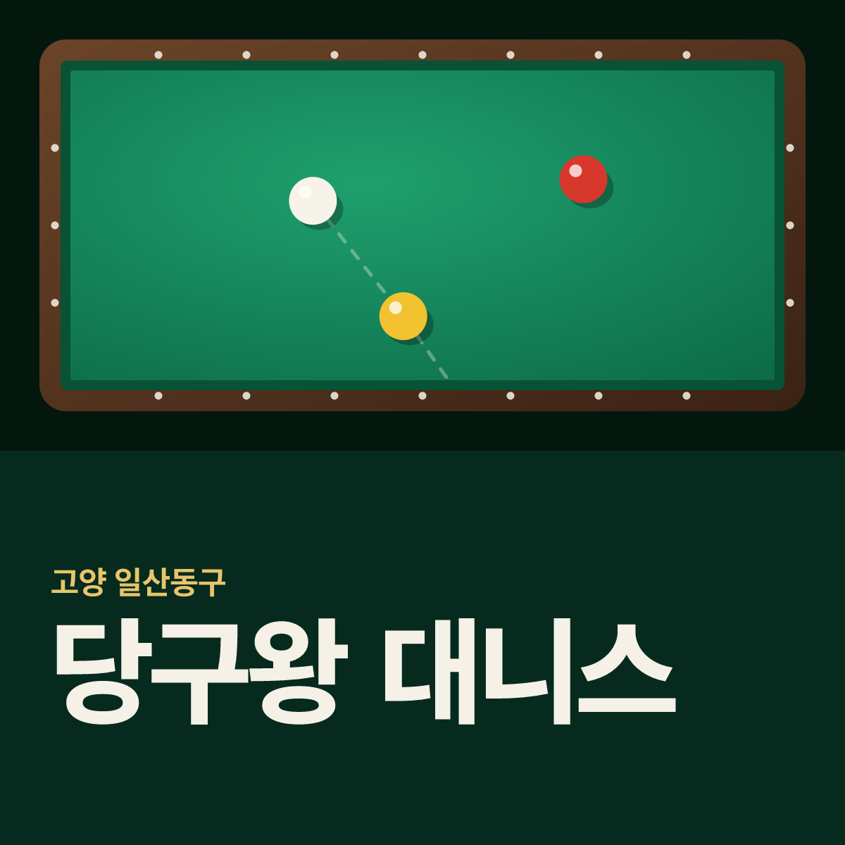 당구왕 대니스 당구장 카드