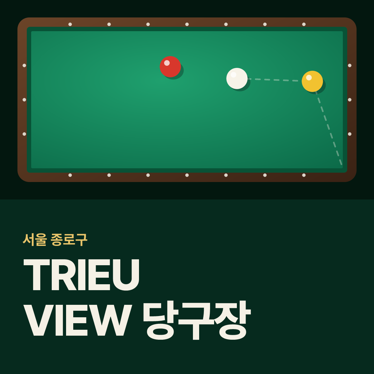 TRIEU VIEW 당구장 카드