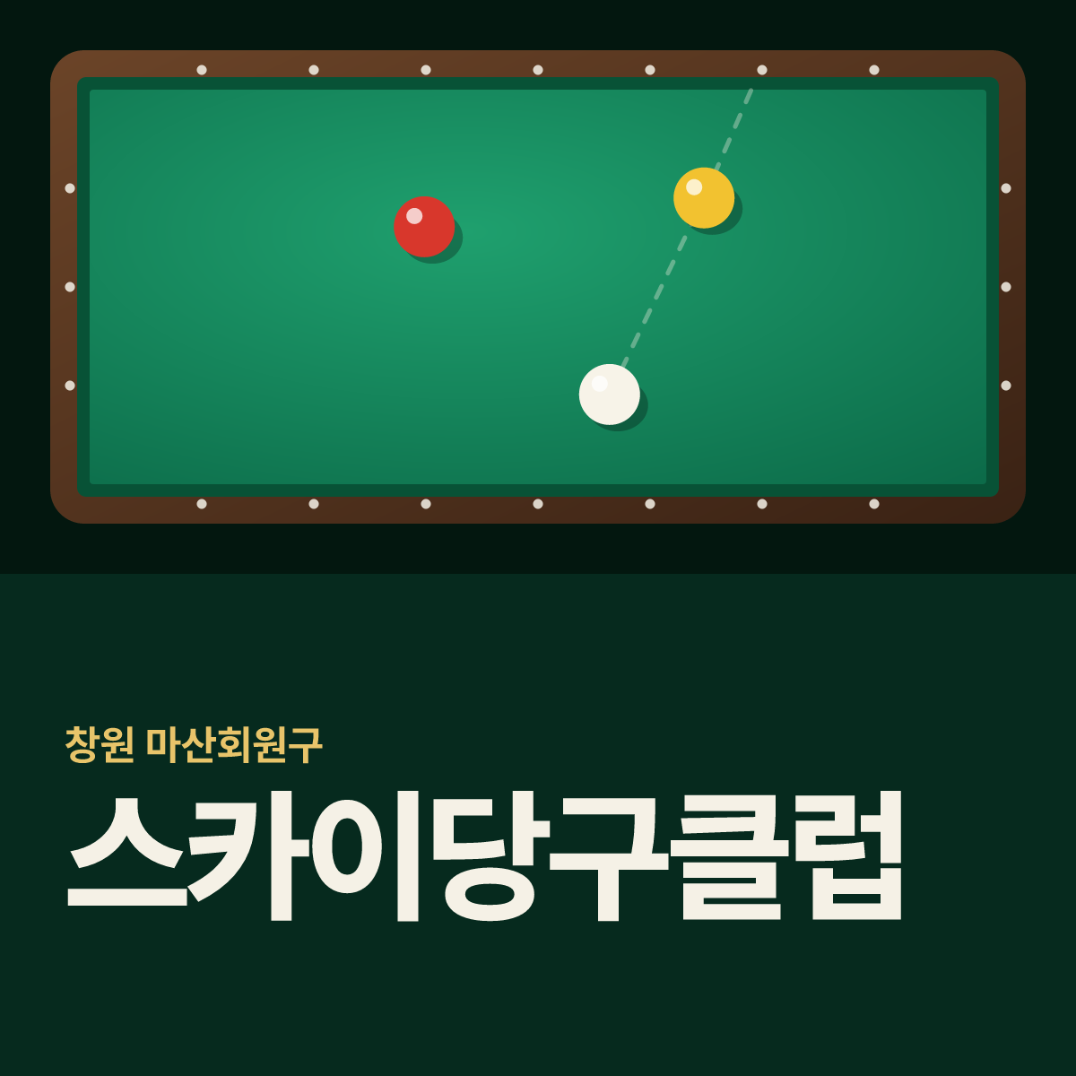 스카이당구클럽 당구장 카드