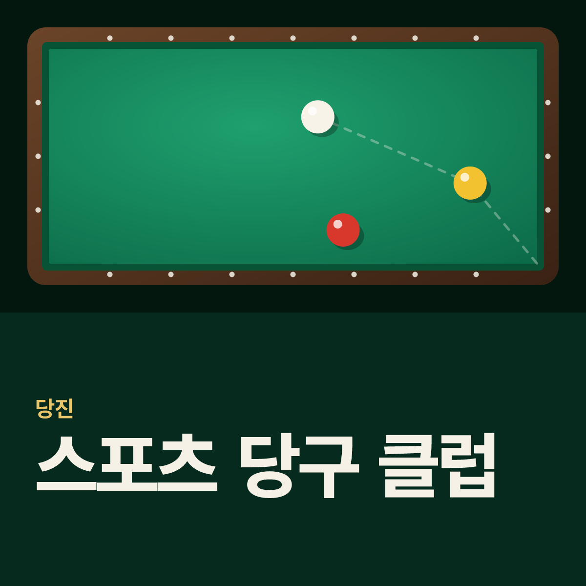 스포츠 당구 클럽 당구장 카드