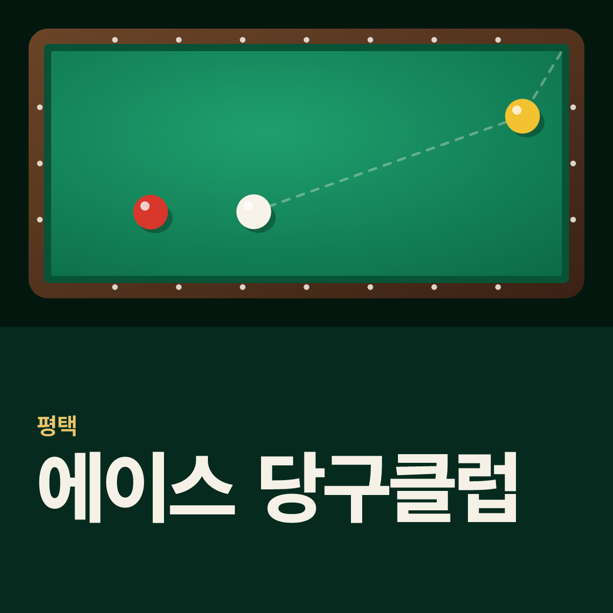 에이스 당구클럽 당구장 카드