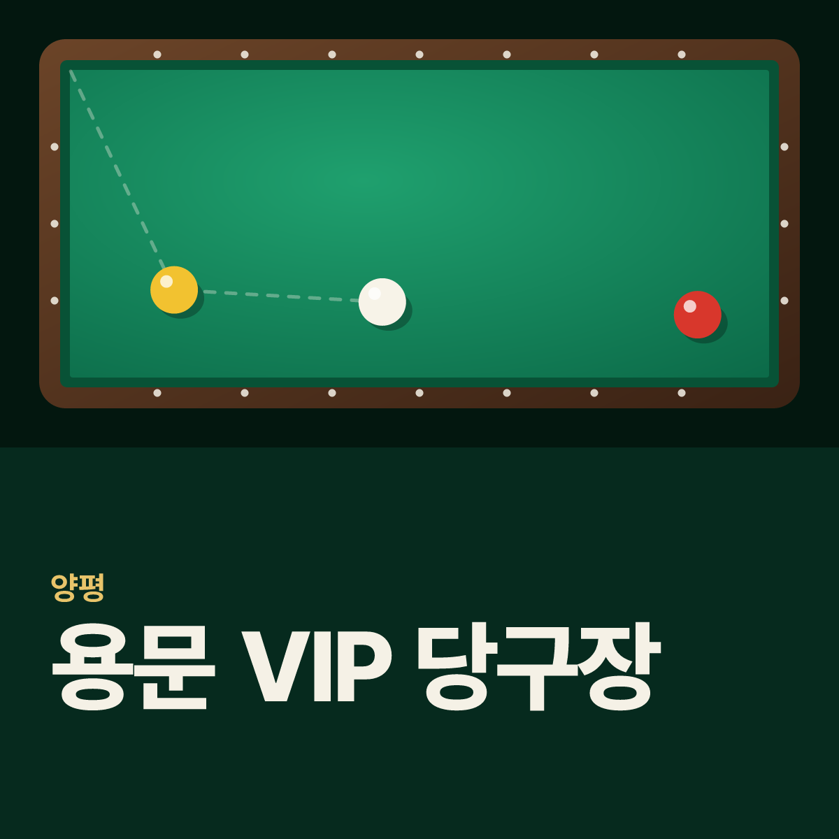 용문 VIP 당구장 카드